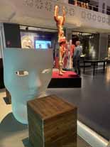 Körperwelten Ausstellung